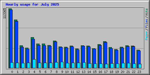 Hourly usage for July 2025