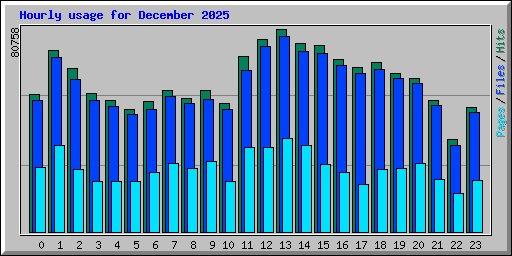 Hourly usage for December 2025