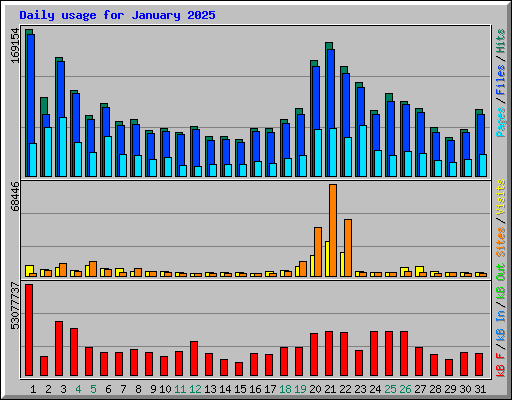 Daily usage for January 2025