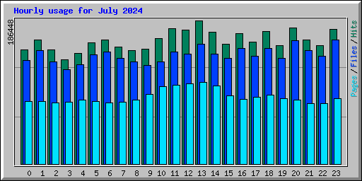 Hourly usage for July 2024