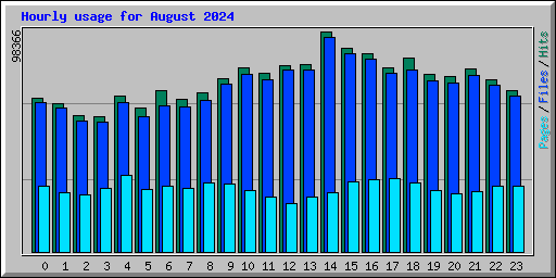 Hourly usage for August 2024