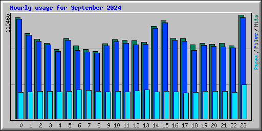 Hourly usage for September 2024