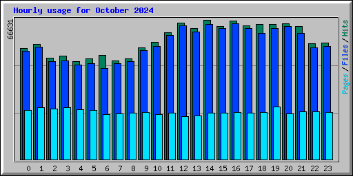 Hourly usage for October 2024