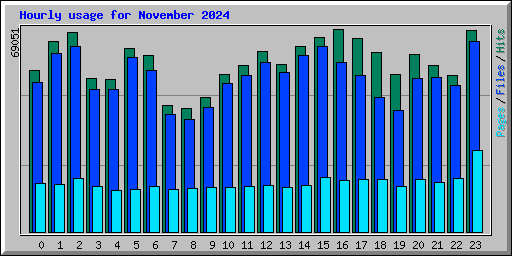 Hourly usage for November 2024