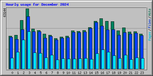 Hourly usage for December 2024