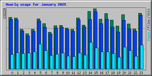 Hourly usage for January 2025