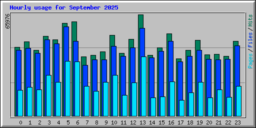 Hourly usage for September 2025