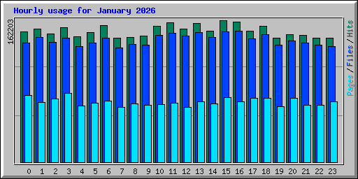 Hourly usage for January 2026