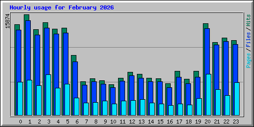 Hourly usage for February 2026